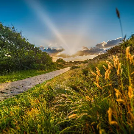 Appartementhaus Westerloog 06-balkon *