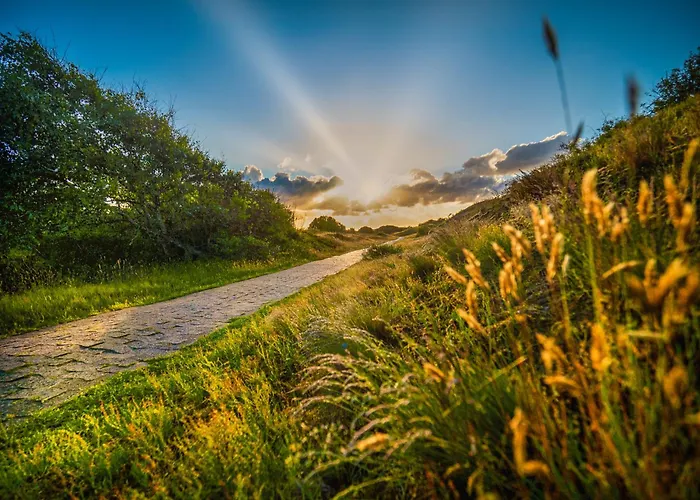 Appartementhaus Westerloog 06-balkon *