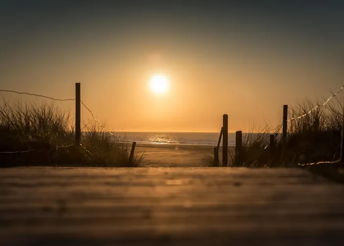 Appartementhaus Westerloog 06-balkon * 斯匹科罗格